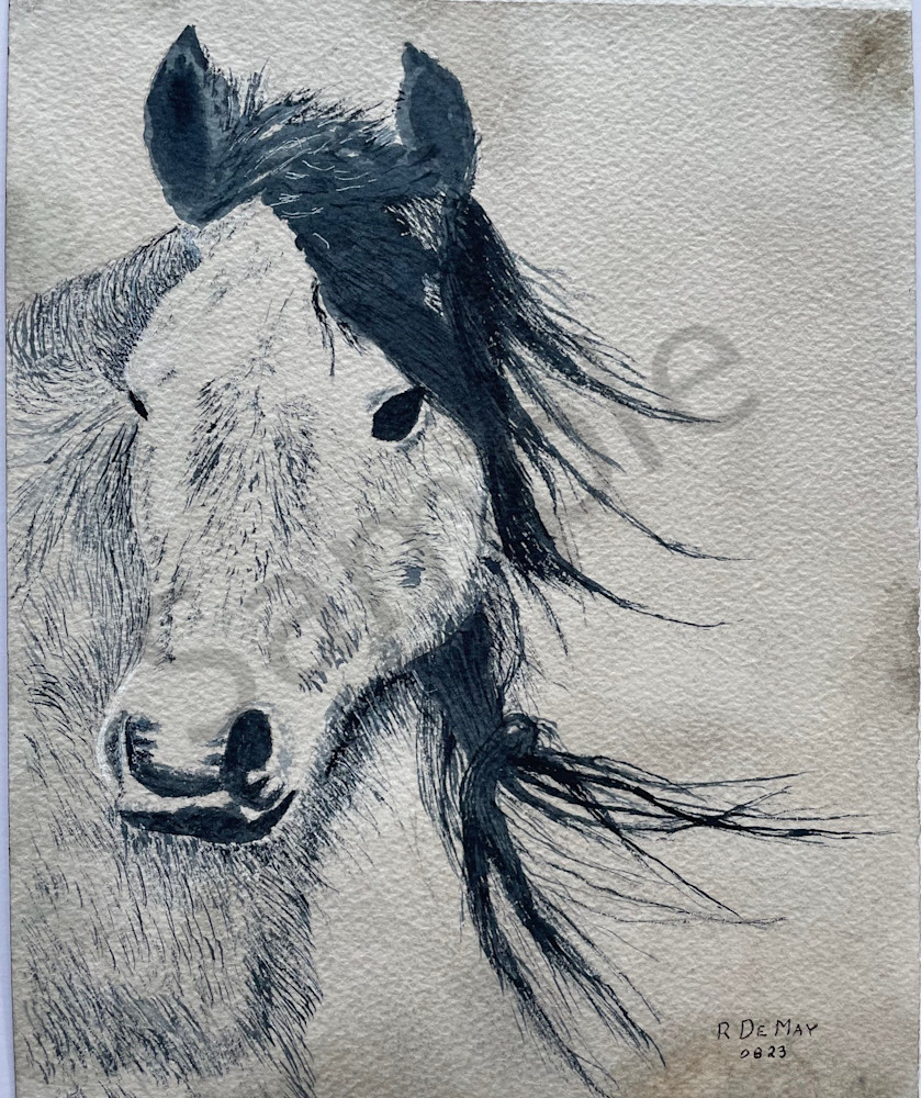 Horse With No Name Art | De May Studios, LLC