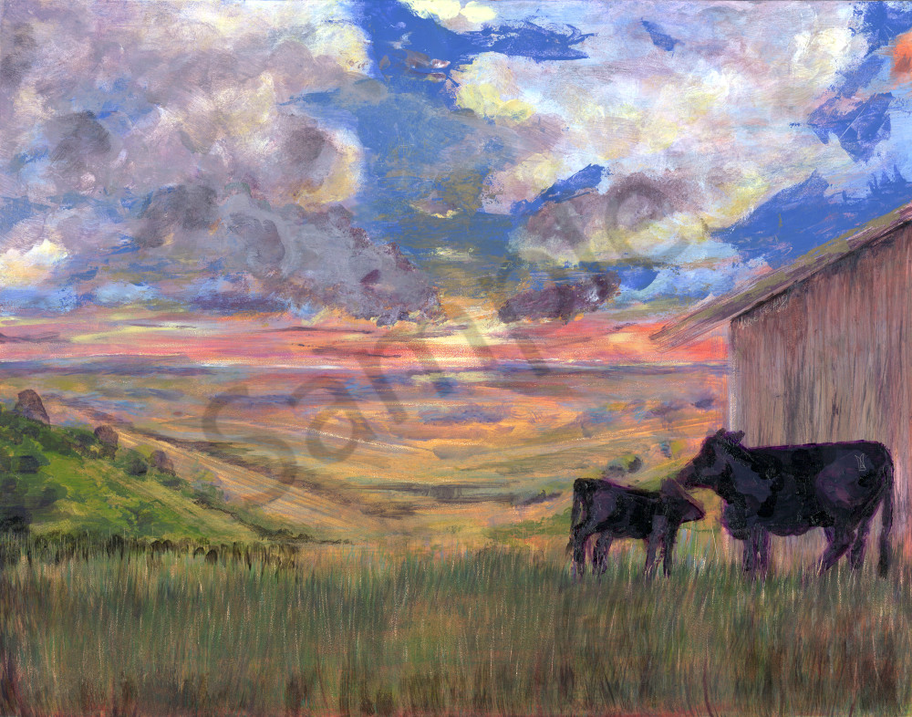 An Iowa Farm Scene at Sunrise with Black Cows & Hillside Pasture
