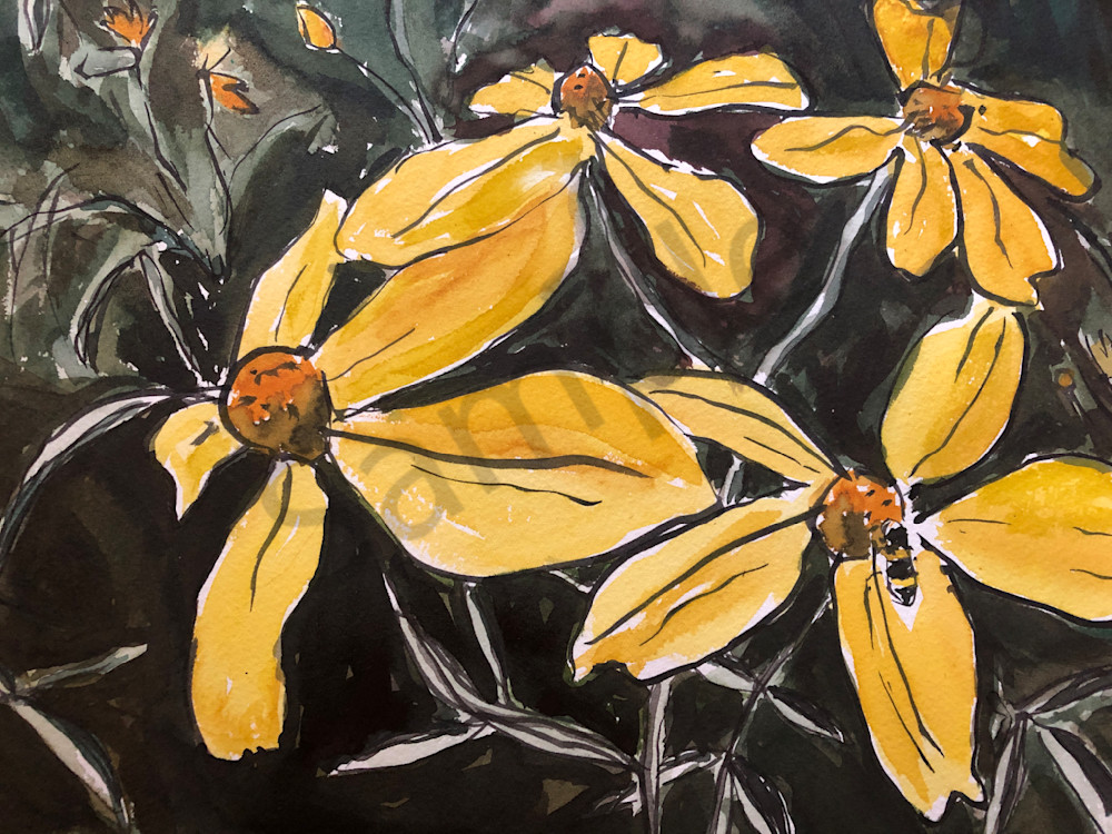 Daisies And A Bee Art | Nicola  Gordon