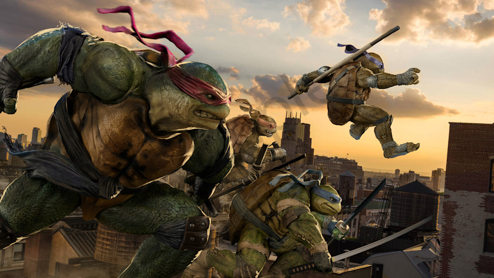 Turtles Go! 