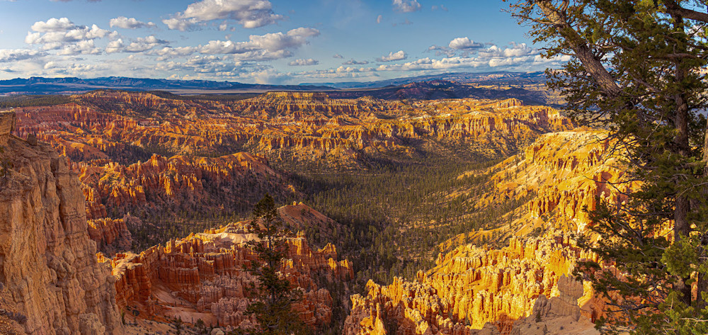 Bryce Canyon Photography Art | Nate C Photography