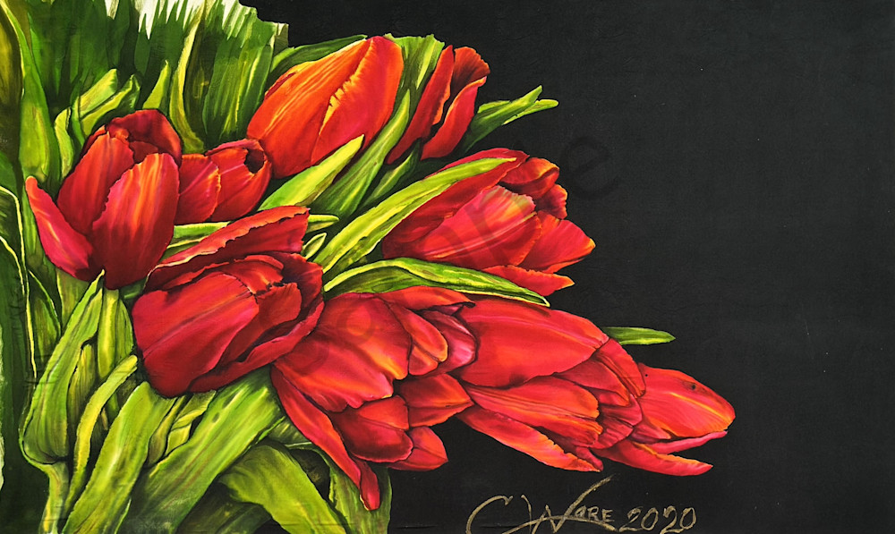Red Tulips Art | Cindy Williams Ware Art
