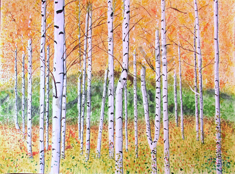 Autumn Birch Forest Art | De May Studios, LLC