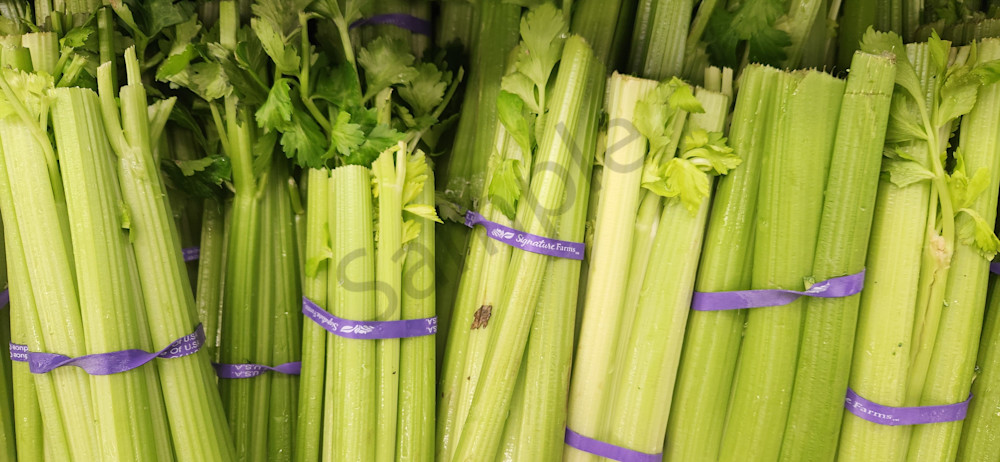 Celery 01 Photography Art | RMaging Gallery Associates