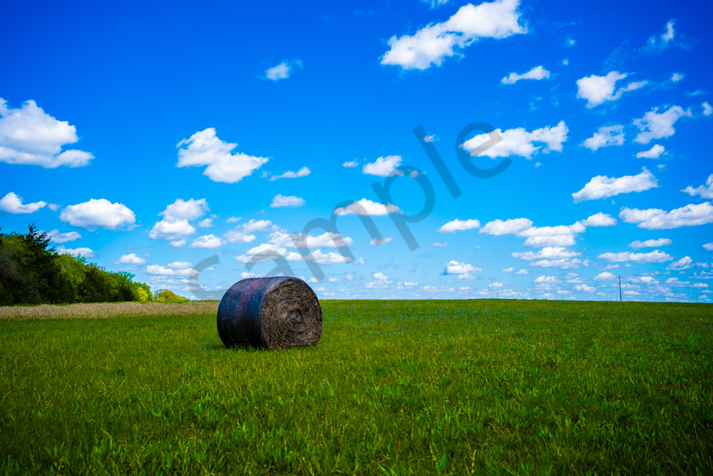 Hayfield Horizon Photography Art | Bama Price Photography