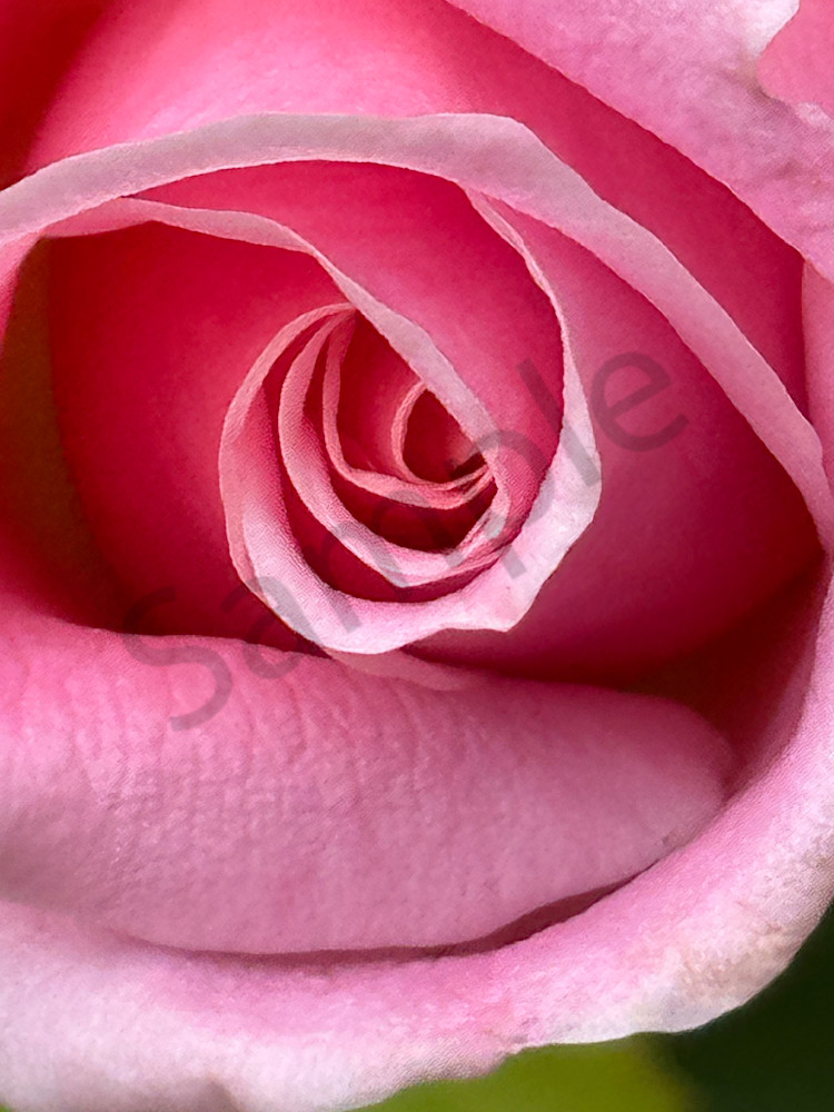 Img 2101 Art | MANN uP Art