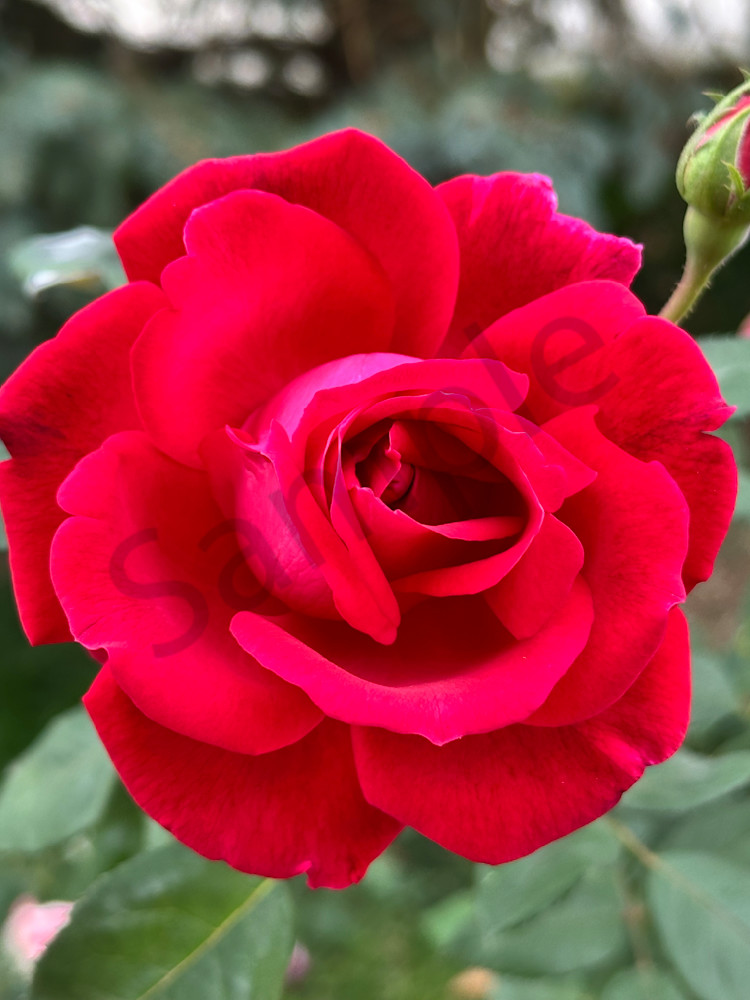 Img 2096 Art | MANN uP Art