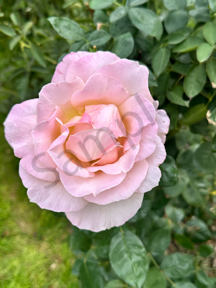 Img 2088 Art | MANN uP Art