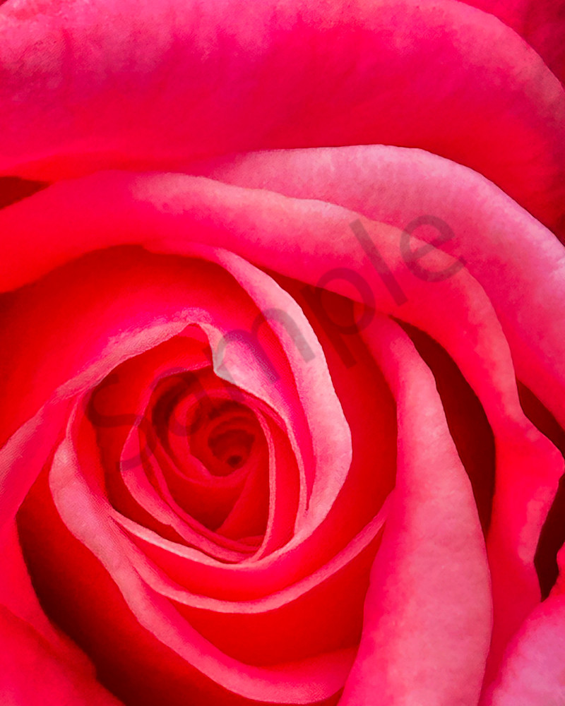 Close Up Red Art | MANN uP Art