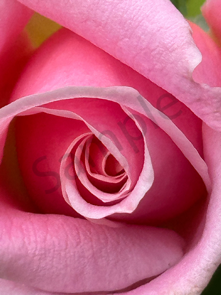 Img 2102 Art | MANN uP Art