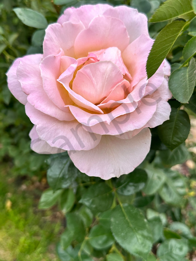 Img 2091 Art | MANN uP Art