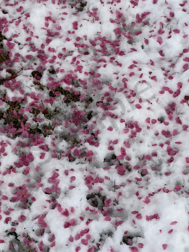 Img 0026 Art | MANN uP Art