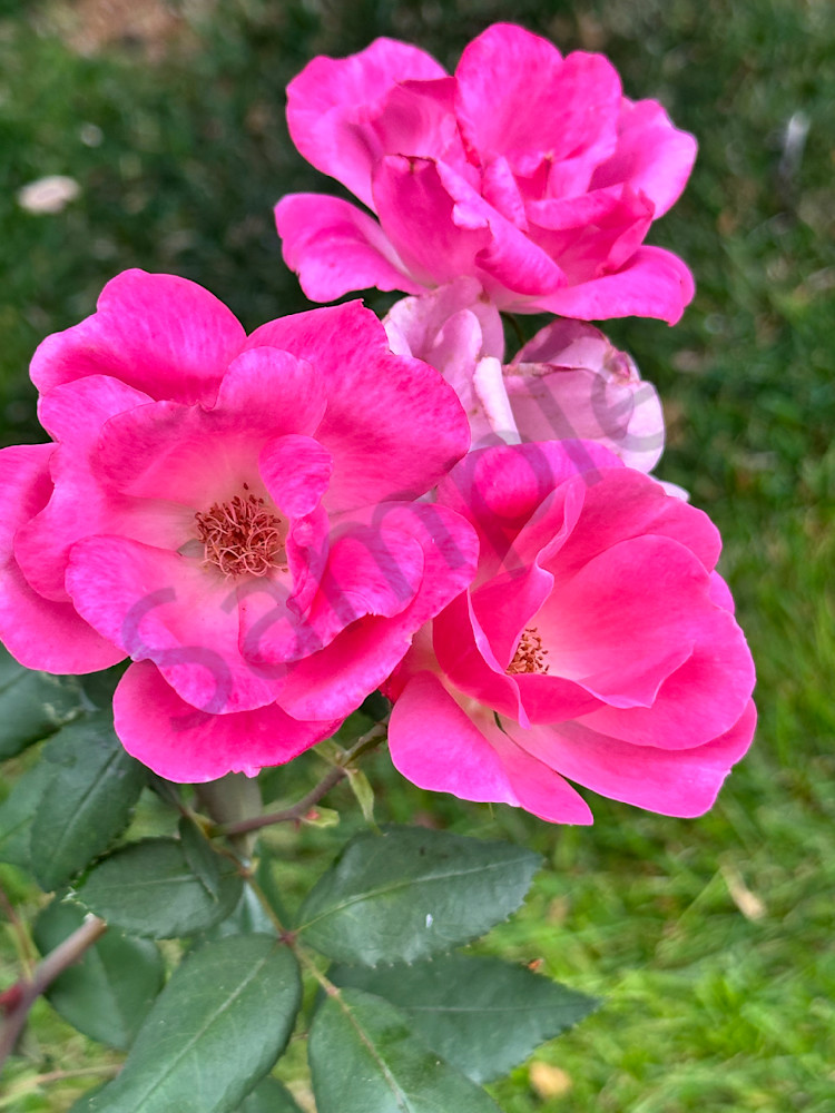 Img 2094 Art | MANN uP Art