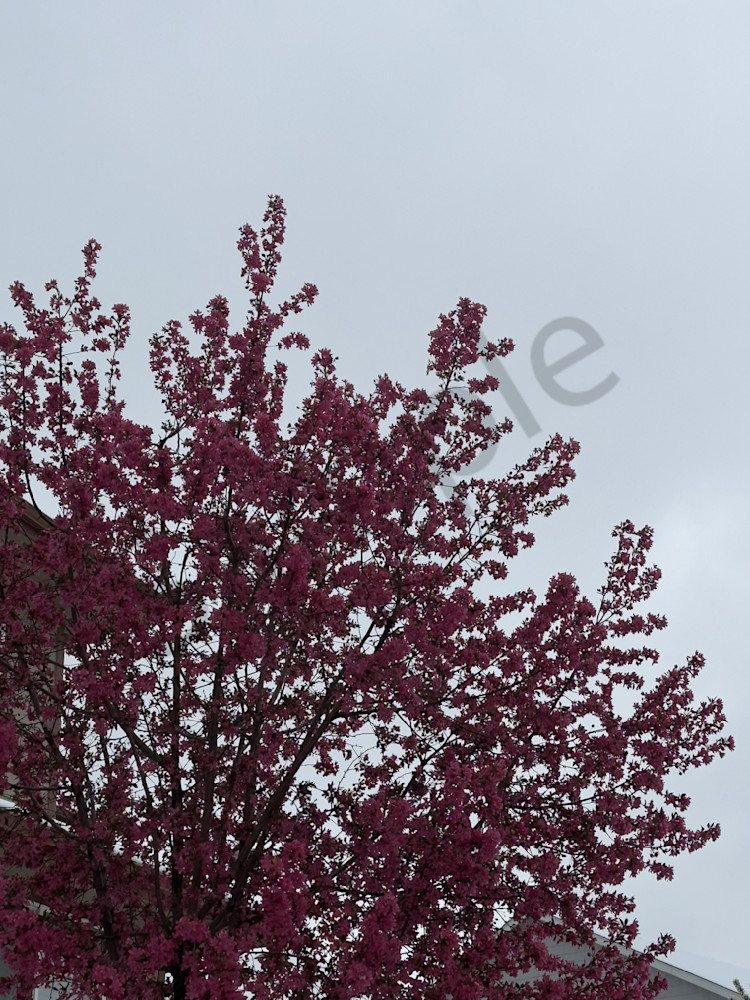 Img 0024 Art | MANN uP Art