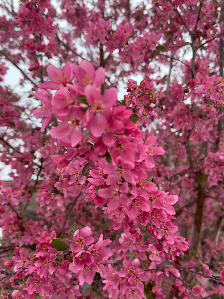 Img 0025 Art | MANN uP Art