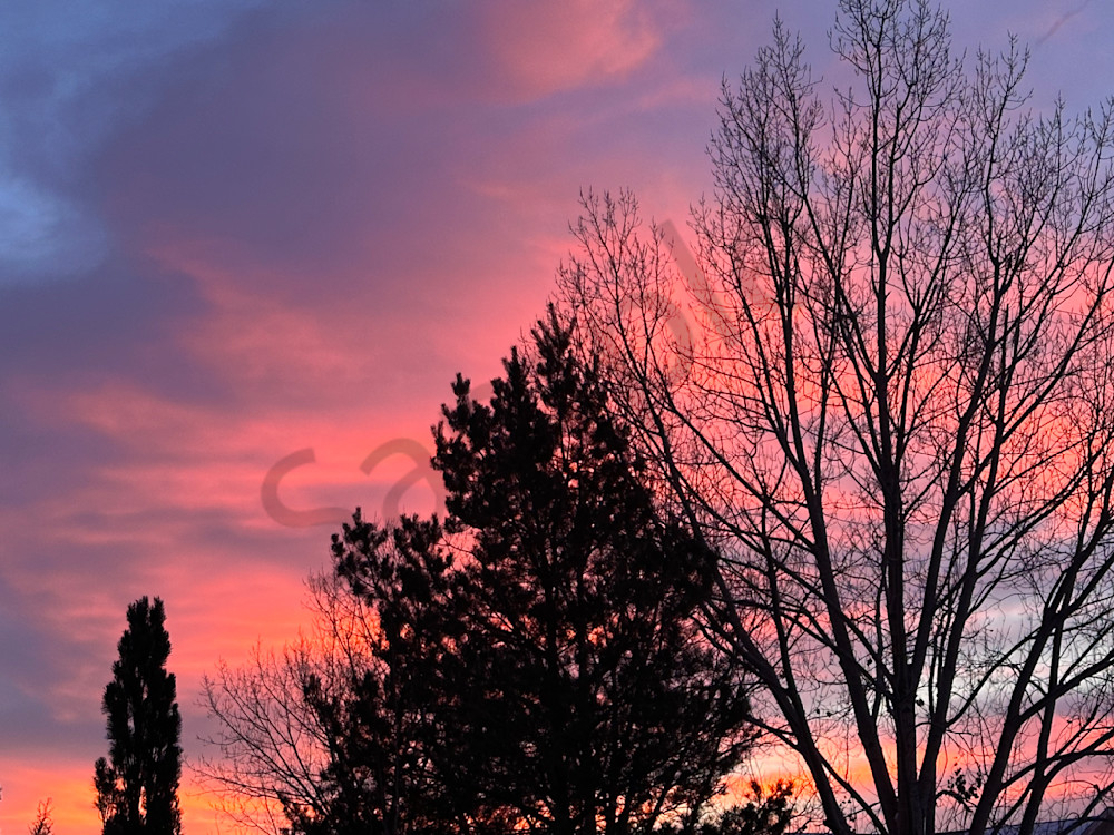 Img 2910 Art | MANN uP Art