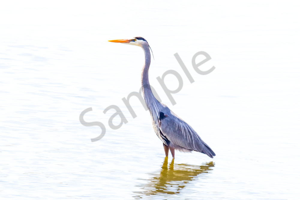 Dsc0167 Photography Art | Photos By Regan