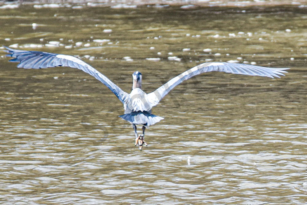 Dsc0042 Photography Art | Photos By Regan