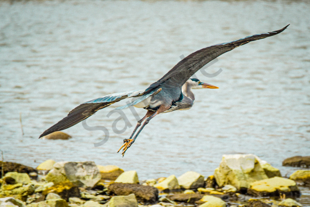 Dsc0154 Photography Art | Photos By Regan