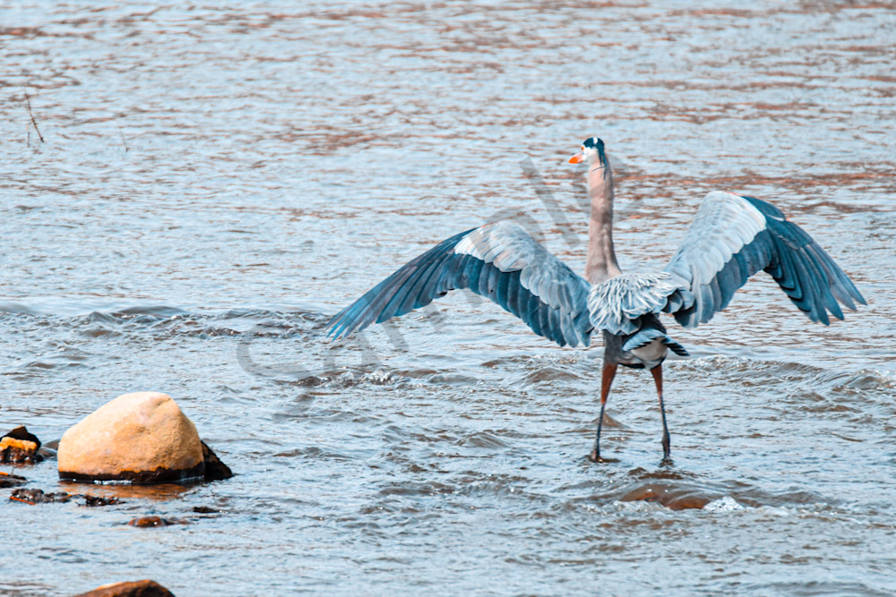 Dsc0160 Photography Art | Photos By Regan