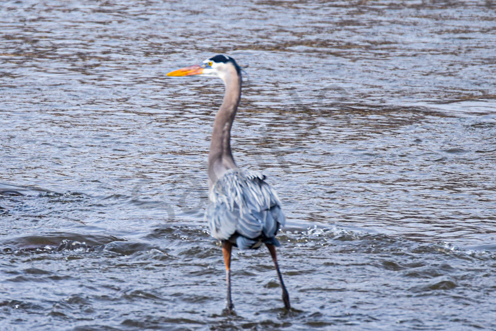 Dsc0162 Photography Art | Photos By Regan