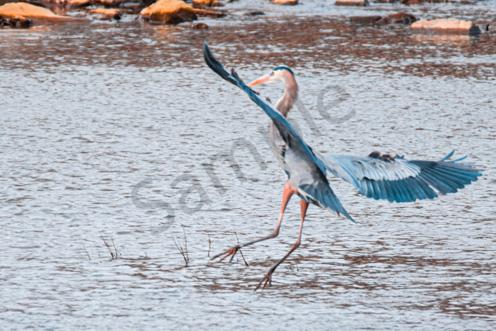 Dsc0165 Photography Art | Photos By Regan