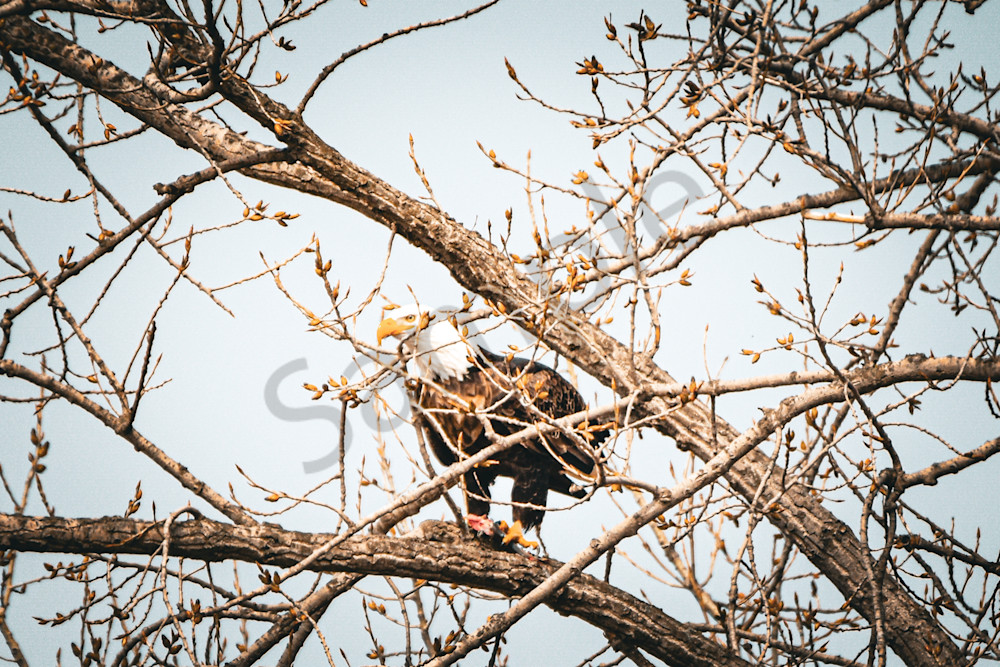 Dsc0481 Photography Art | Photos By Regan