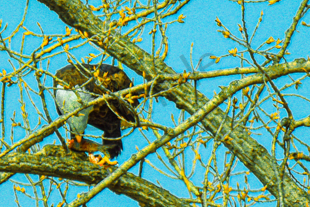 Dsc0476 Photography Art | Photos By Regan