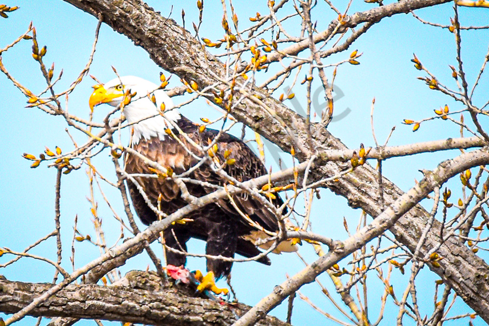 Dsc0484 Photography Art | Photos By Regan
