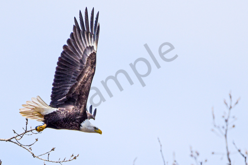 Dsc0497 Photography Art | Photos By Regan