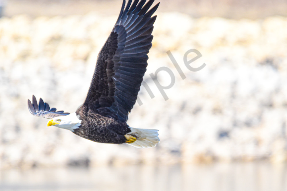 Dsc0616 Photography Art | Photos By Regan