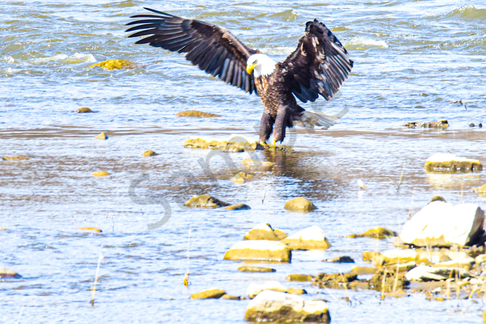 Dsc0925 Photography Art | Photos By Regan