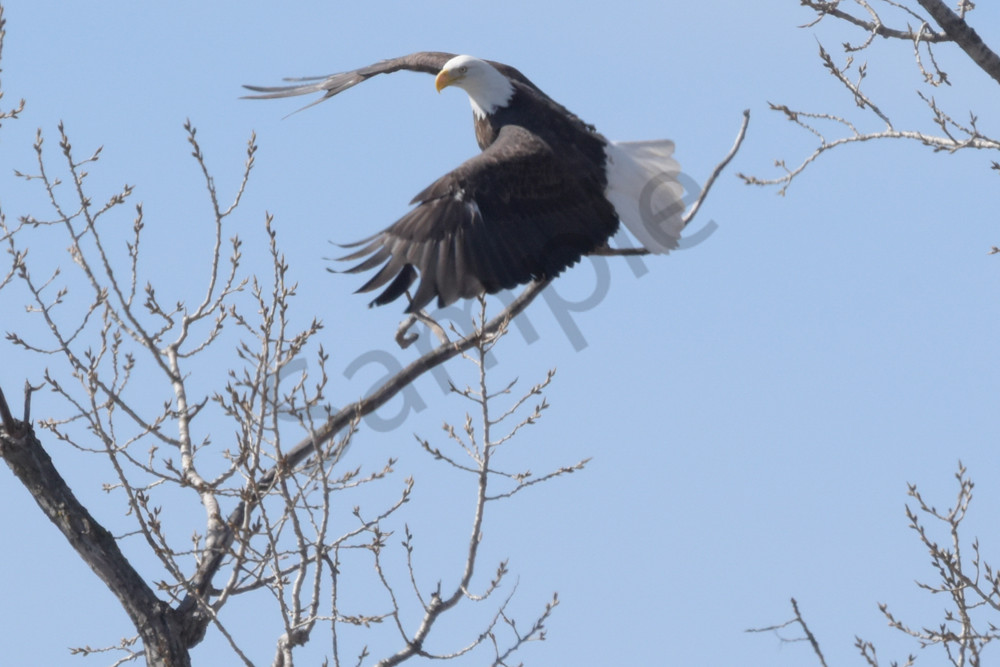 Dsc0127 Photography Art | Photos By Regan