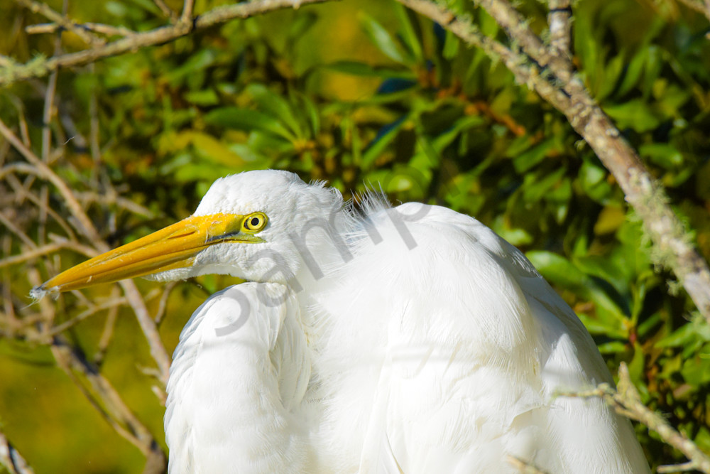 Dsc0647 Photography Art | Photos By Regan