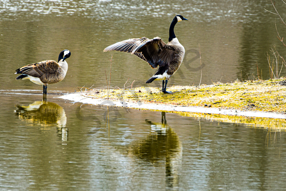 Dsc0683 Photography Art | Photos By Regan