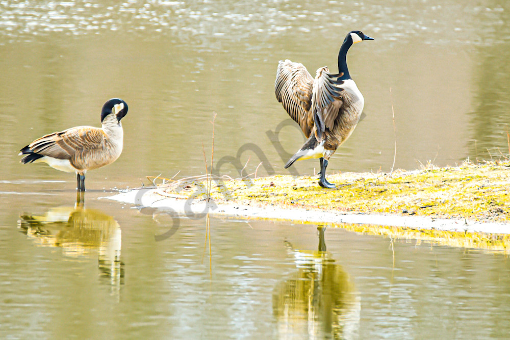 Dsc0685 Photography Art | Photos By Regan