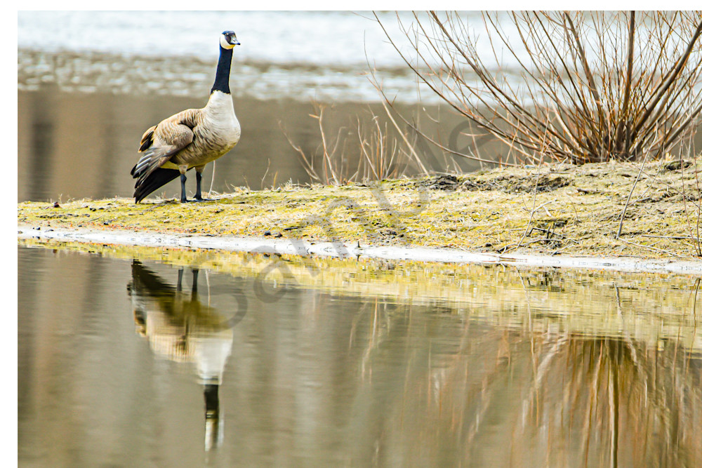 Dsc0691 Photography Art | Photos By Regan