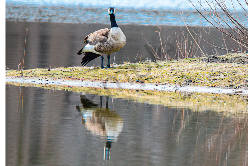Dsc0693 Photography Art | Photos By Regan