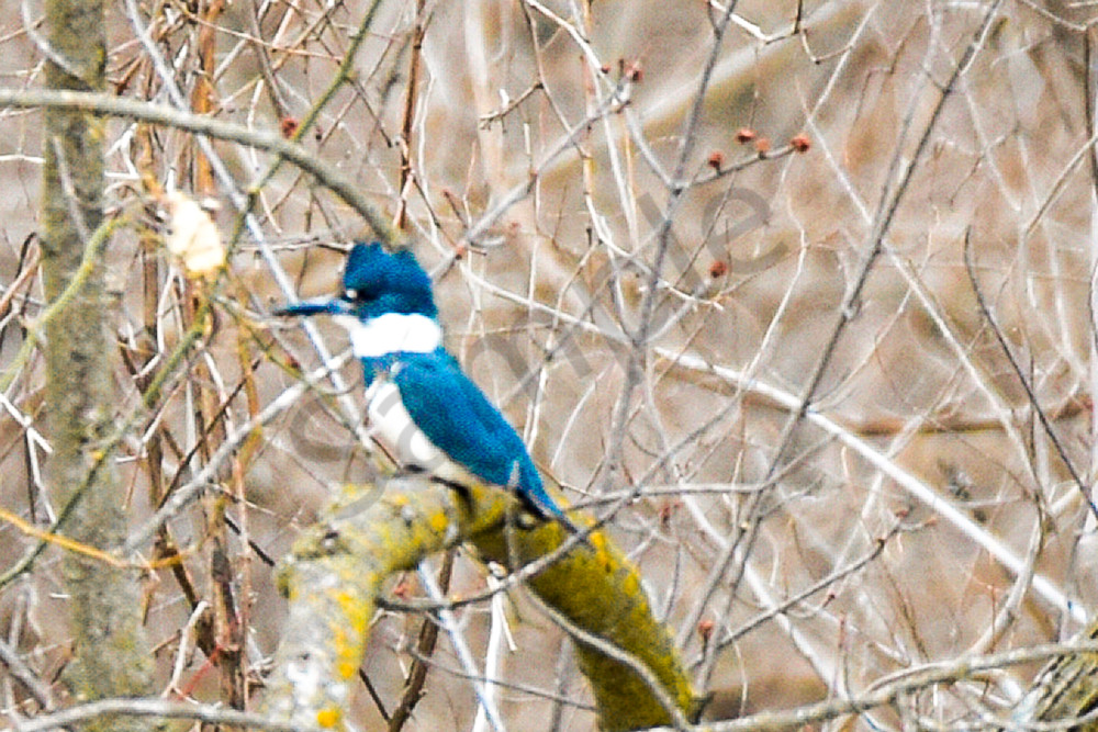 Dsc0718 Photography Art | Photos By Regan