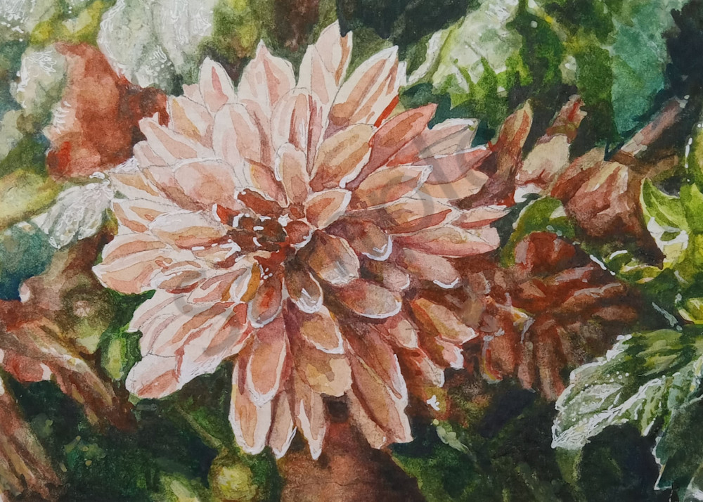 Dahlia's Dance Art | Jose Bon