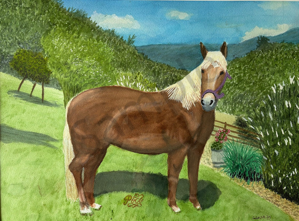 Poco Art | De May Studios, LLC