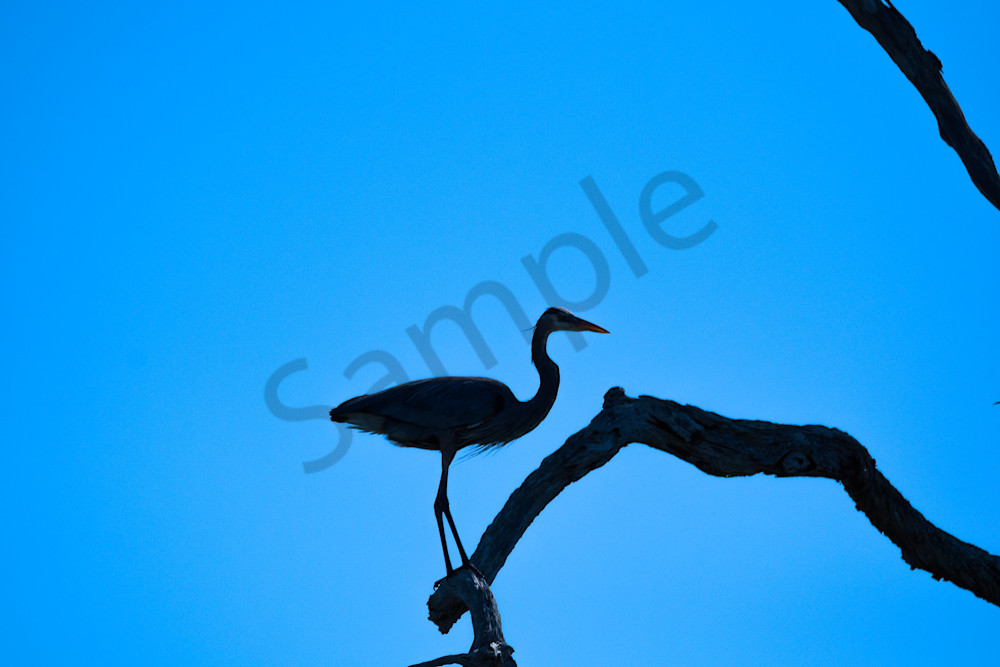 2024 03 15 09.53.39 Photography Art | Photos By Regan