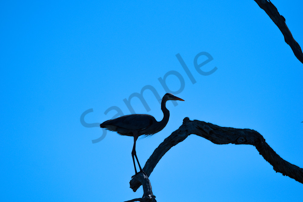 2024 03 15 09.53.39 3 Photography Art | Photos By Regan