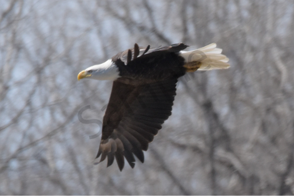 Dsc0135 Photography Art | Photos By Regan