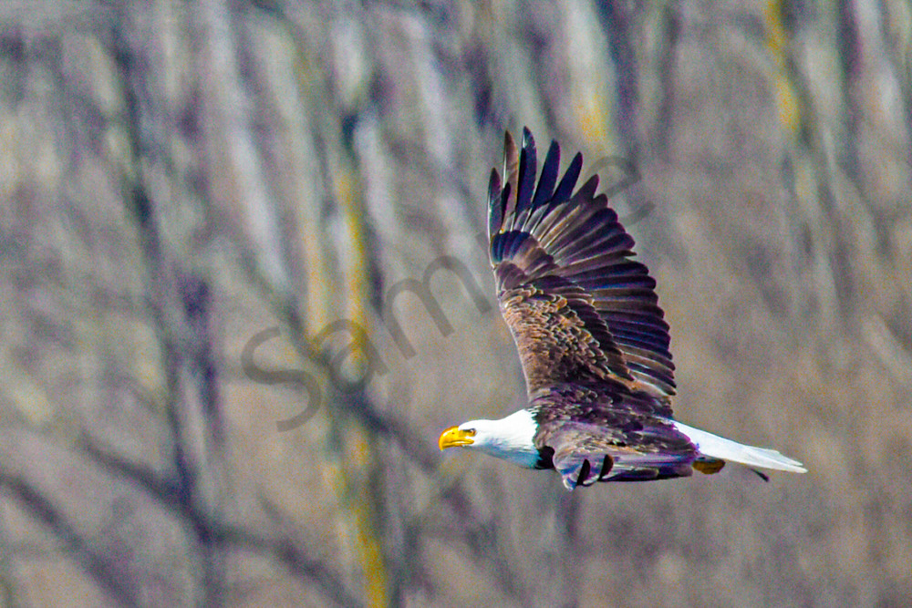 Dsc0255 Photography Art | Photos By Regan
