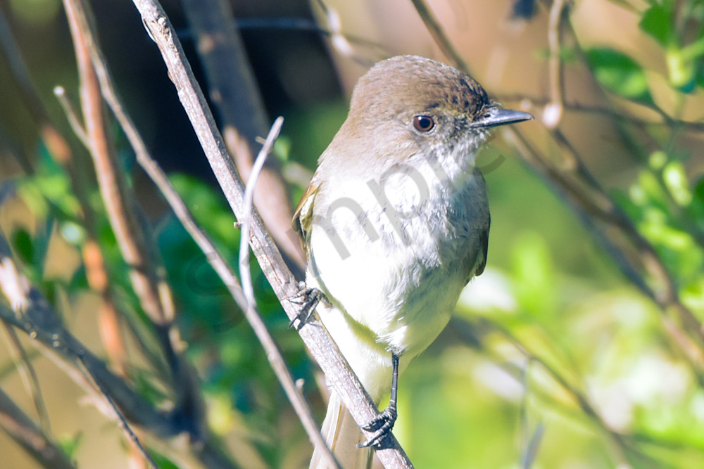 Dsc0663 Photography Art | Photos By Regan