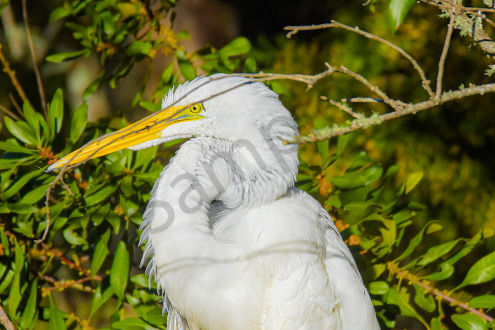 Dsc0623 Photography Art | Photos By Regan