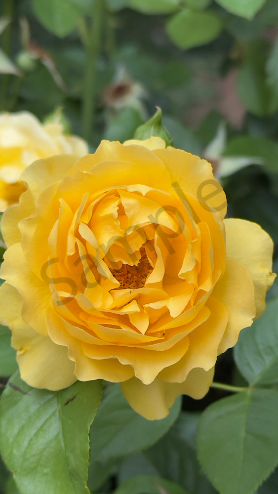 Img 5453 Art | MANN uP Art