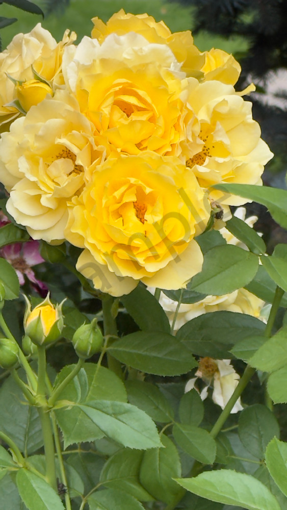 Img 5456 Art | MANN uP Art