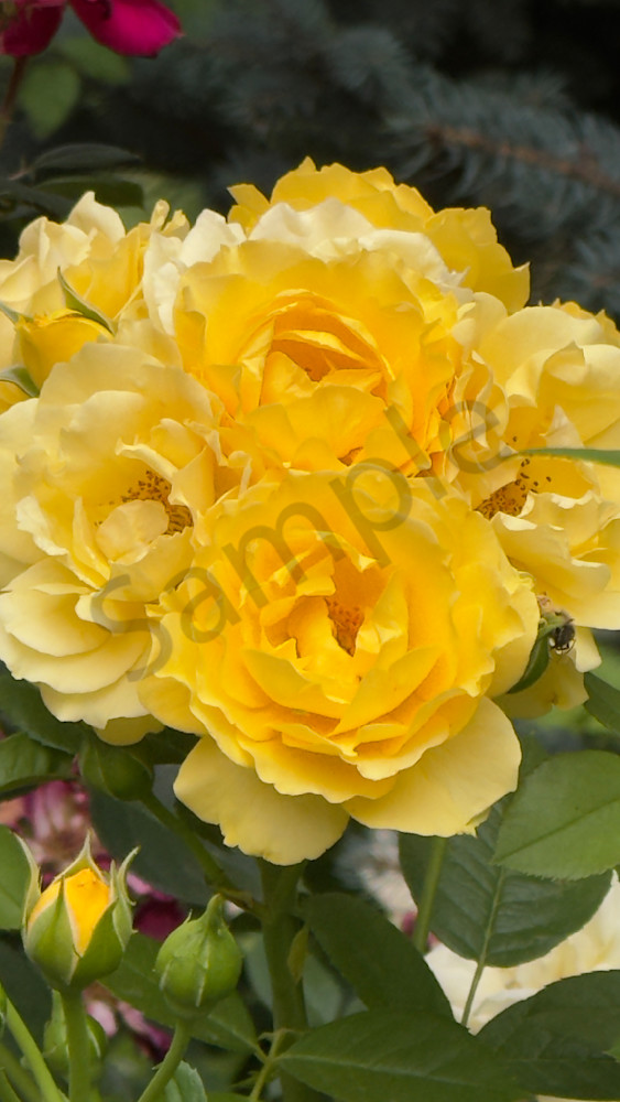 Img 5455 Art | MANN uP Art